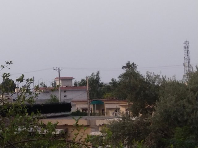 IMG_20250622_185849.jpg