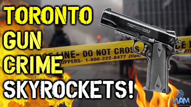 toronto gun crime skyrockets thumbnail.png