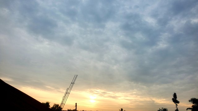 20250619_064020.jpg