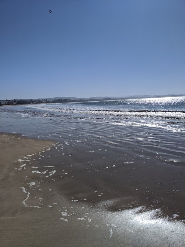 IMG_20191210_125553.jpg