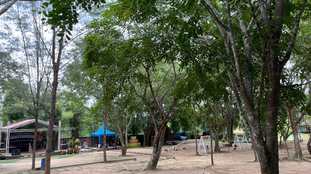 IMG_3087.jpeg