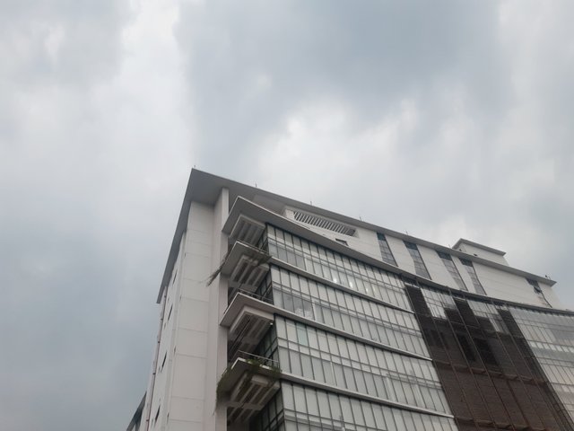 20250410_171556.jpg