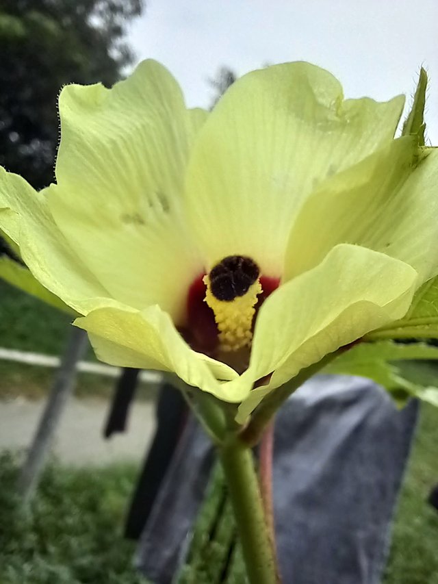 20220916_110039.jpg