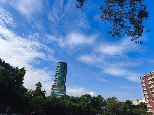 IMG_20250524_074950.jpg