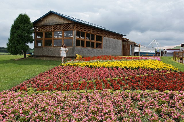 Japan-Hokkaido12802-775.jpg