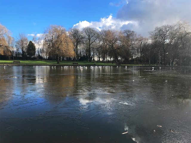 frozen lake.jpg