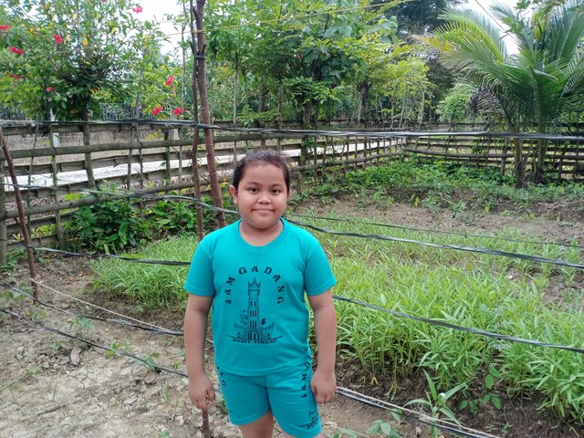 IMG20250626180141.jpg