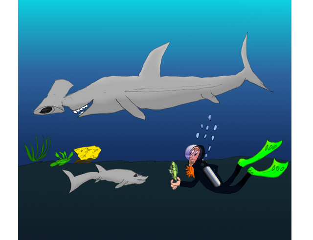 shark feeder.png