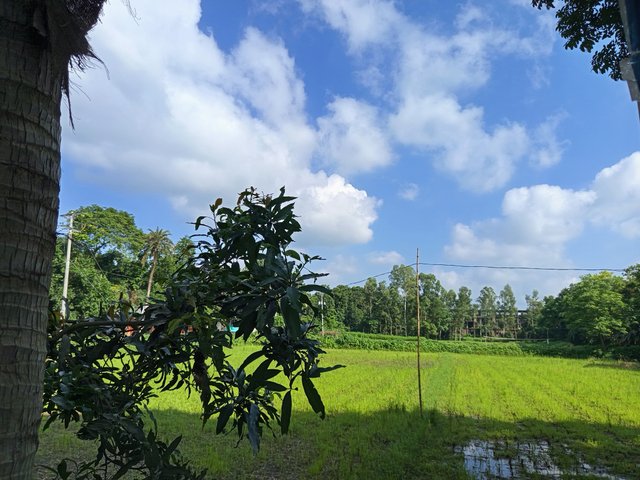 নেচার (2).jpg