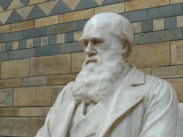 .darwin-623194_1920.jpg