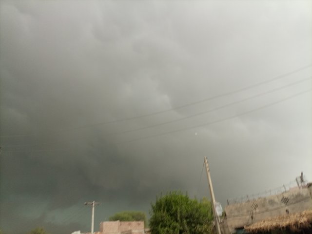 IMG_20250626_073055_510.jpg