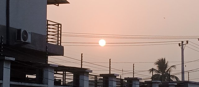 IMG_20250108_175822_088.jpg