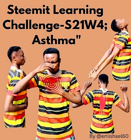 Steemit Learning Challenge-S21W4; Asthma__20241121_095541_2.jpg