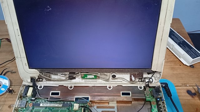 1000172634.jpg