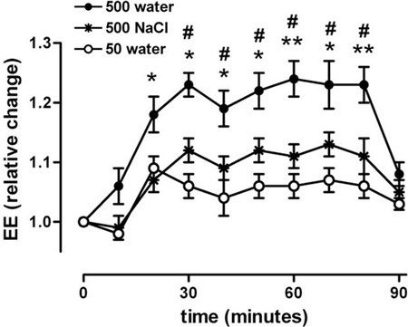 water-boosts-metabolism.jpg