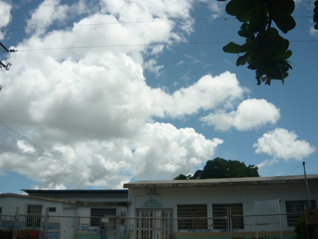 P1210335.JPG