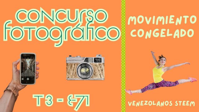 Concurso fotográfico (44).jpg