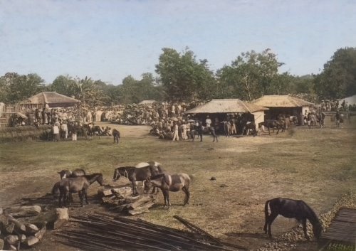 Arena Pacuan Kuda di Cirebon, 1880. Stoop. Colorized..jpg