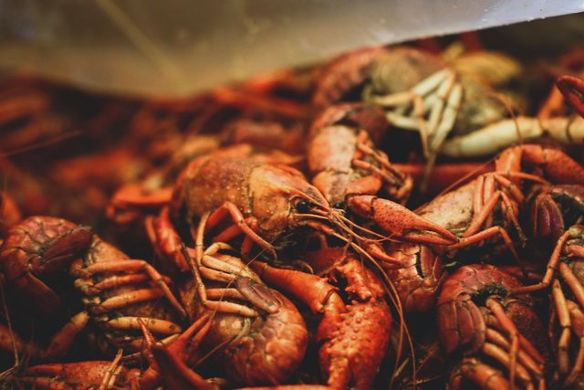 boiled-crawfish-cajun-food-new-orleans.jpg