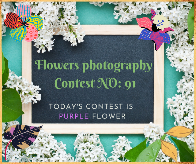 Flowers photography Contest (2).png
