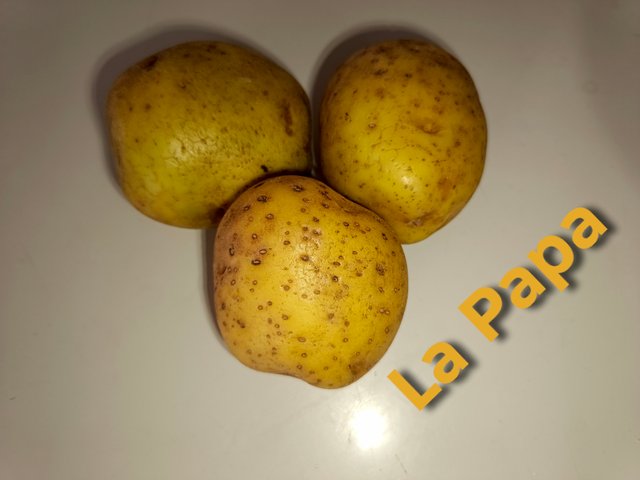1000416810.jpg