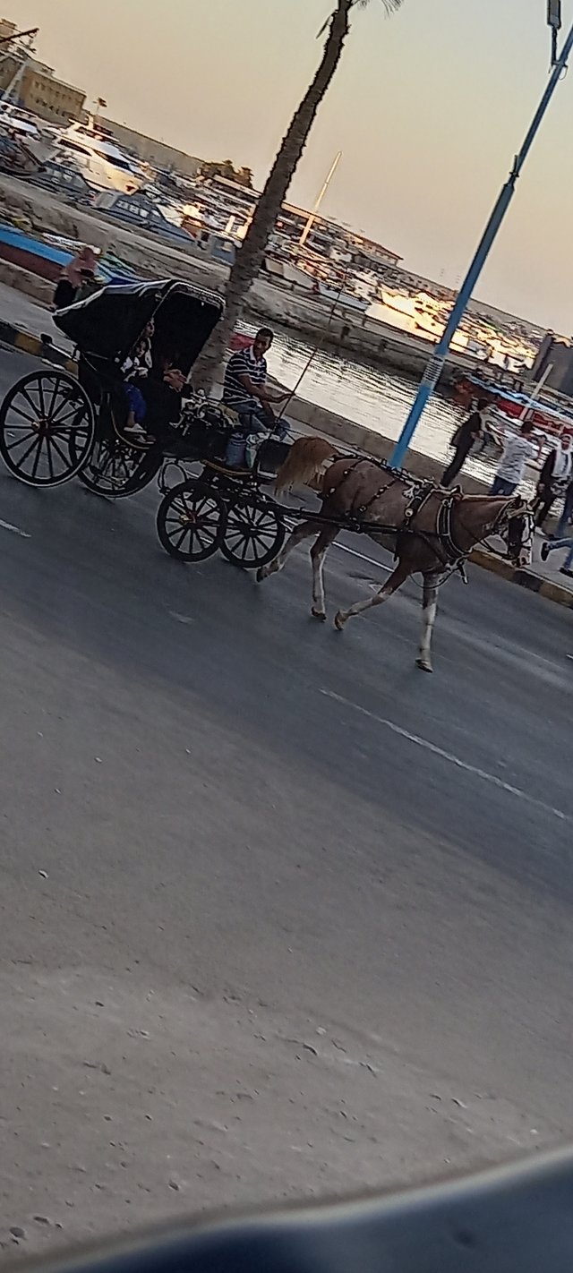 ٢٠٢٤٠٦١٢_١٩٣٨٠١.jpg