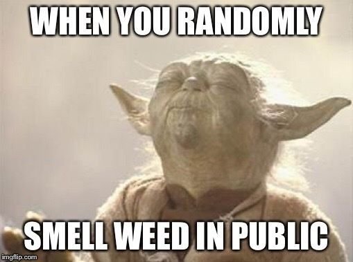 public weed.jpg