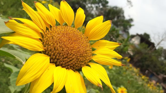 20210310_121250.jpg