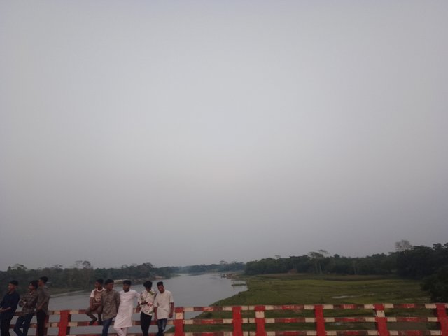 IMG_20250401_174533.jpg