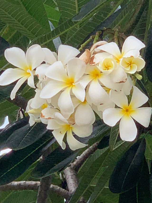 nature105.jpg