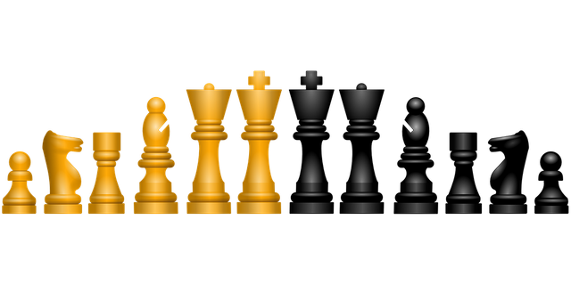 chess-145184_960_720.png