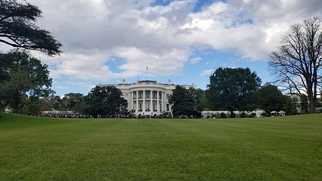 white-house-04.jpg