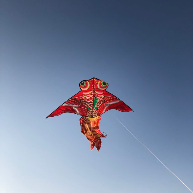 kite-3.jpg