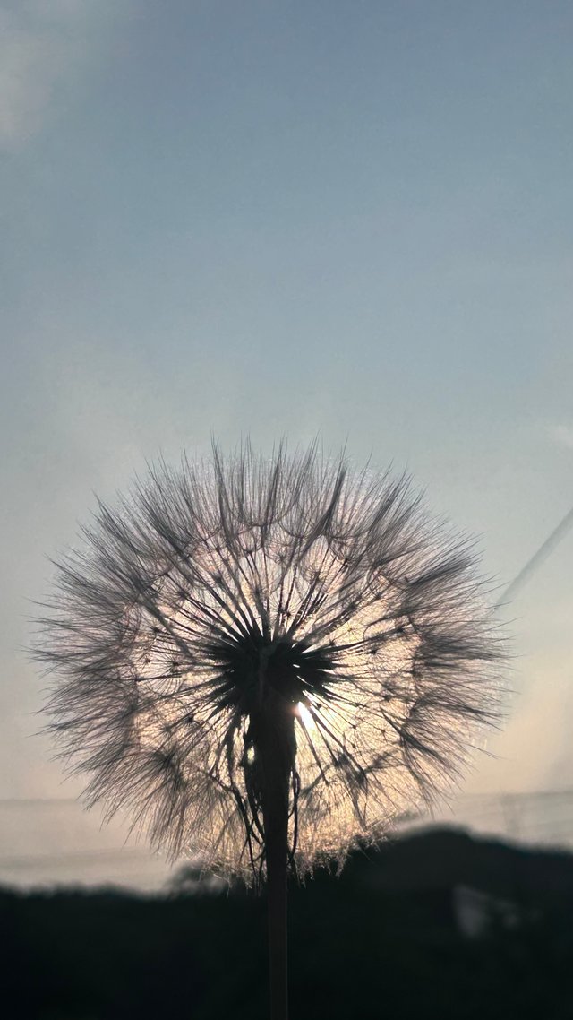 IMG_0816.jpeg