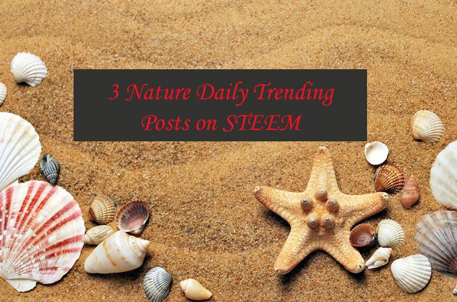 naturetrend.jpg