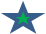 estrella verde.png
