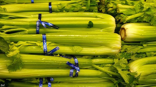 celery for health thursday green photography bxlphabet.jpg