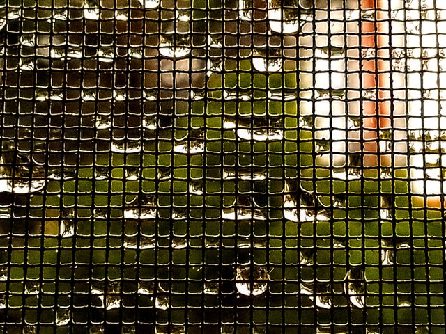 wet net.jpg