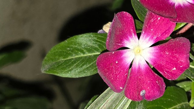 20250125_025153.jpg