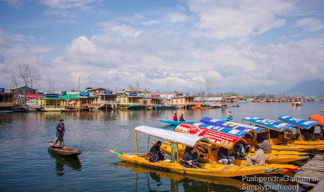 Dal-lake-kashmir-india-travel-pics-best-travel-photographer-india-travel-pics2.jpg