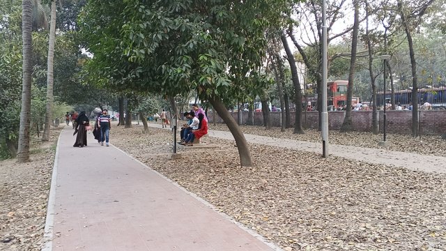 IMG_20250227_172302_5.jpg
