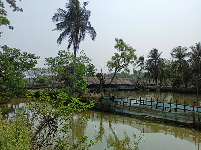 IMG20250407094545.jpg