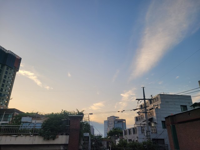 20250615_052219.jpg