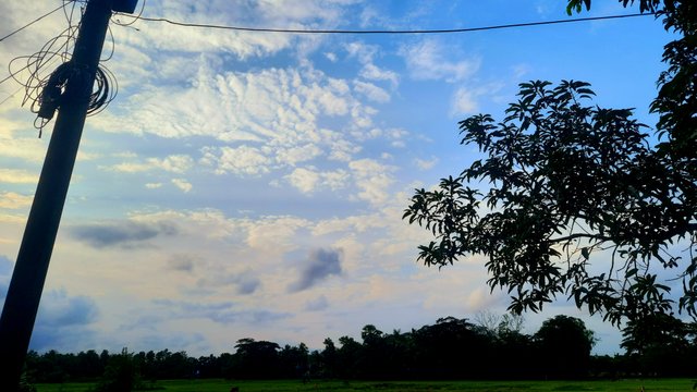 20250518_172540.jpg