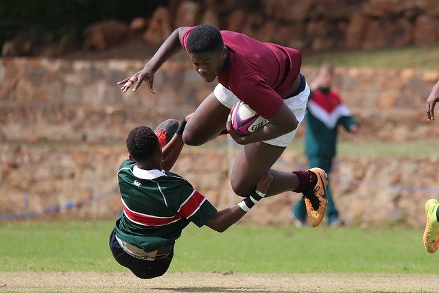 rugby-4773744_640.jpg