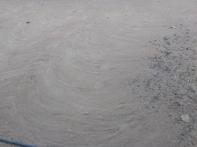 IMG_20250208_071011_525.jpg