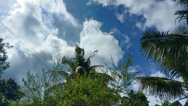 IMG_20250819_072704_901.jpg