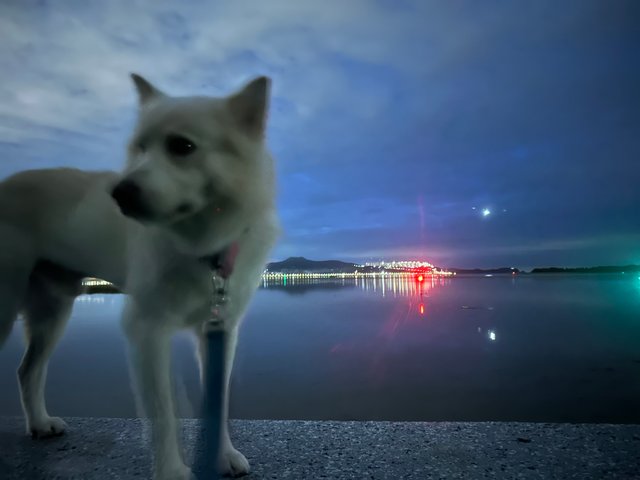 IMG_6834.jpeg