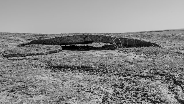 A1V04318.jpg