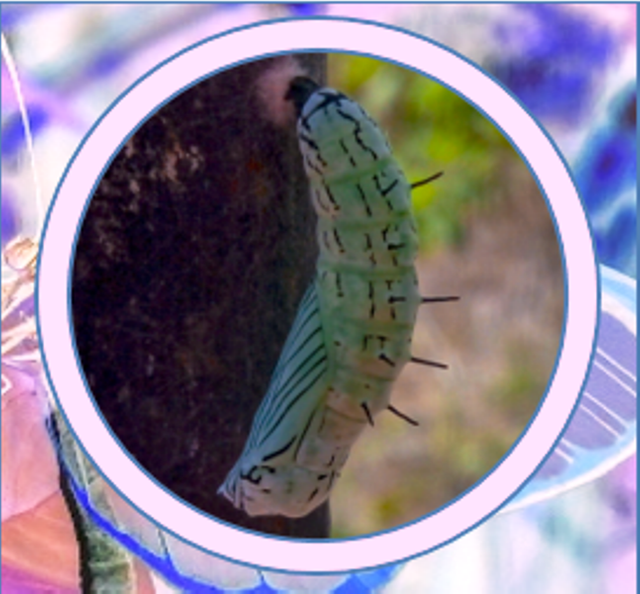 Screenshot - 13_6_20
